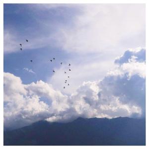 疯狂拳交亚洲女人
