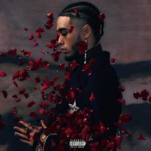 疯狂拳交亚洲女人
